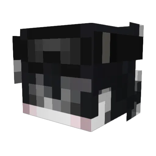 AircraftCarrier5 Minecraft avatar head, 3D render