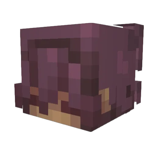 Aircraftq1 Minecraft avatar head, 3D render