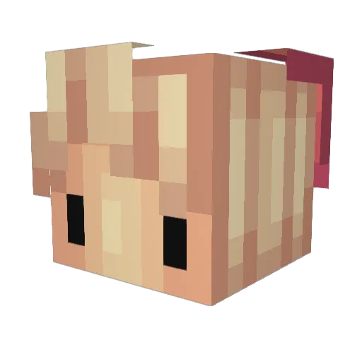 Aircrewss Minecraft avatar head, 3D render