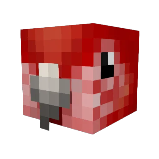 Airduck0 Minecraft avatar head, 3D render