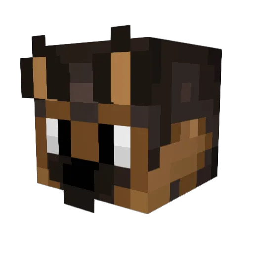 Aires458 Minecraft avatar head, 3D render