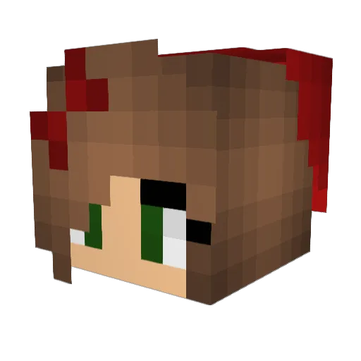 Aires9100 Minecraft avatar head, 3D render