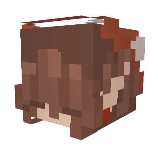 Airezz Minecraft avatar head, 3D render