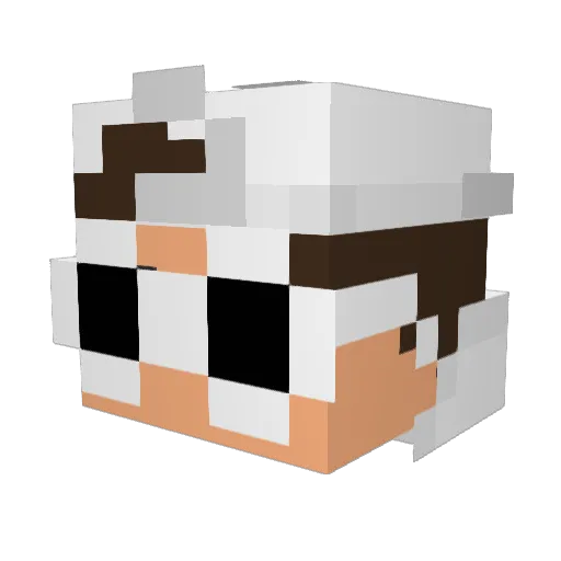 Airflect Minecraft avatar head, 3D render