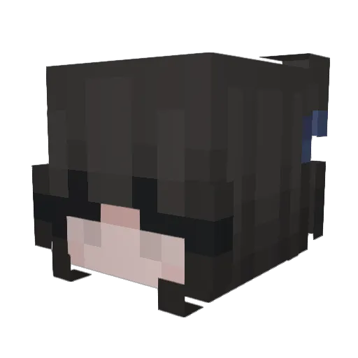 Airlane Minecraft avatar head, 3D render