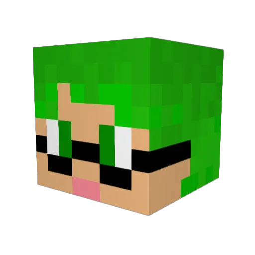 Airleaves Minecraft avatar head, 3D render