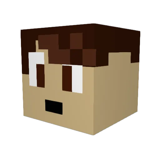 AirlessRacc Minecraft avatar head, 3D render