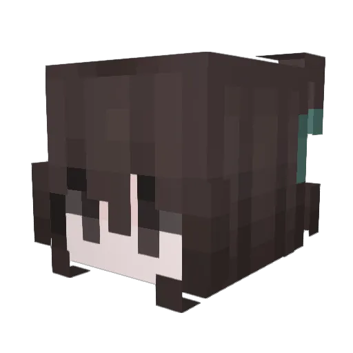 Airophobic Minecraft avatar head, 3D render