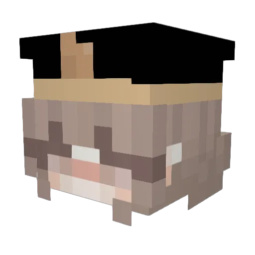Airports Minecraft avatar head, 3D render