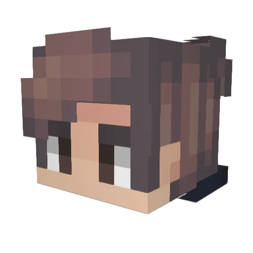 Airship69 Minecraft avatar head, 3D render