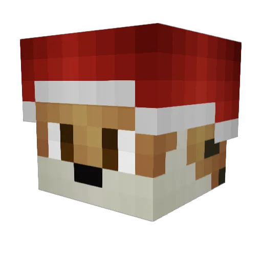Airwolf91 Minecraft avatar head, 3D render
