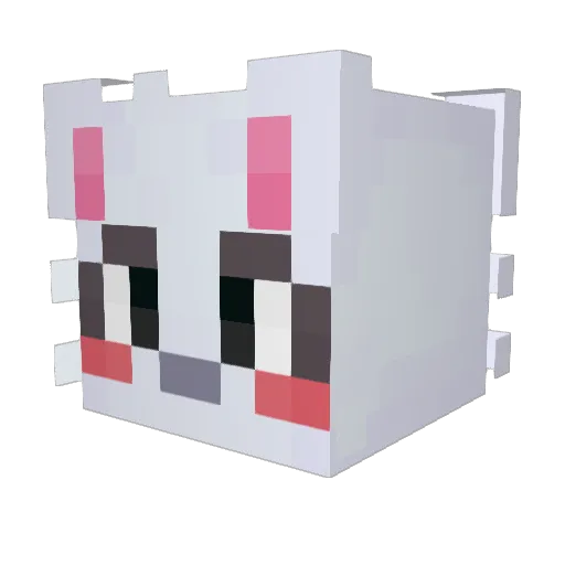 Airy2763 Minecraft avatar head, 3D render