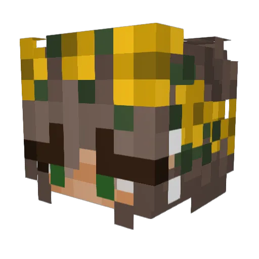 Aisha0307 Minecraft avatar head, 3D render
