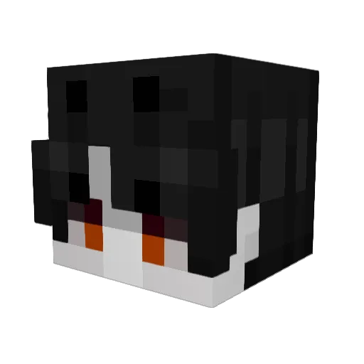 AishiiHime Minecraft avatar head, 3D render