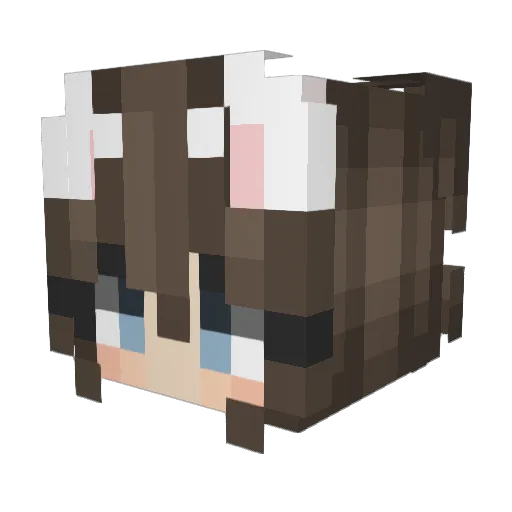 Aislier1 Minecraft avatar head, 3D render