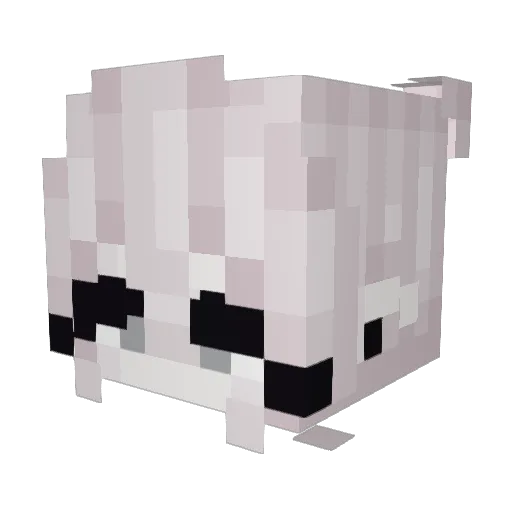 AislingAngel Minecraft avatar head, 3D render