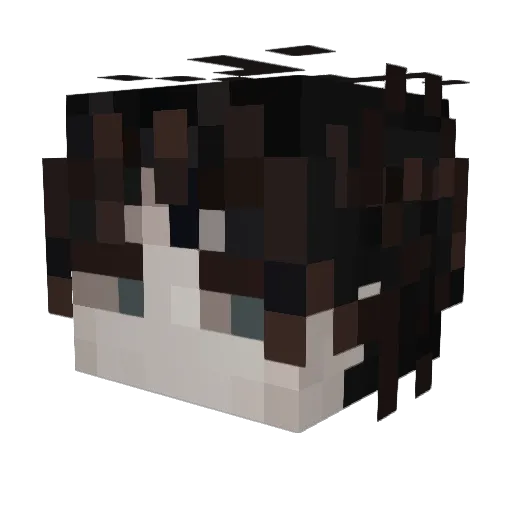 Aisolatte Minecraft avatar head, 3D render