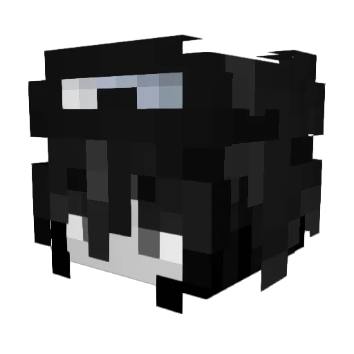 Aitchum Minecraft avatar head, 3D render