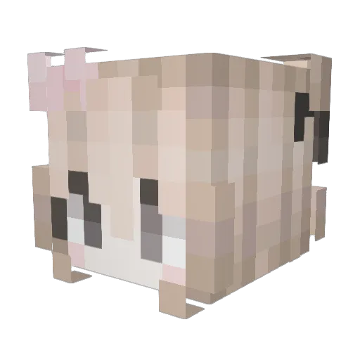 Aitkensdaze Minecraft avatar head, 3D render
