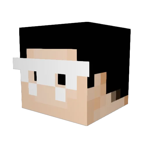 Aitsch_Pee Minecraft avatar head, 3D render