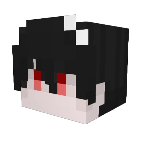 Aiun_x05 Minecraft avatar head, 3D render