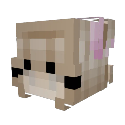 Aiuska Minecraft avatar head, 3D render