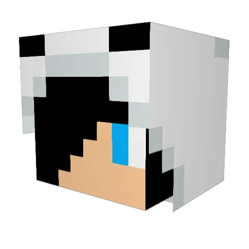Aiwenly Minecraft avatar head, 3D render
