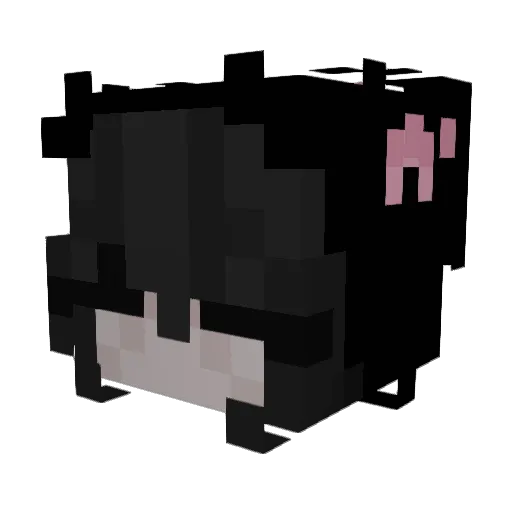 Aixxss Minecraft avatar head, 3D render