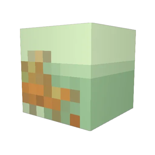 Aiydan Minecraft avatar head, 3D render