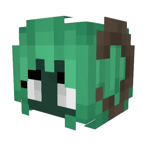 Aiysha666 Minecraft avatar head, 3D render