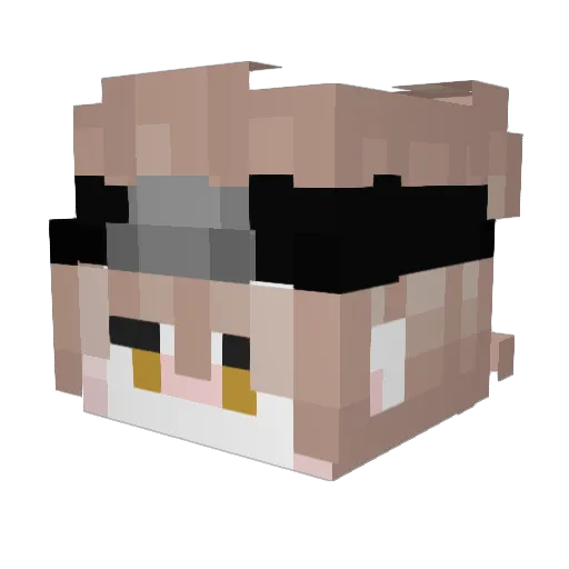 AizleAlways Minecraft avatar head, 3D render