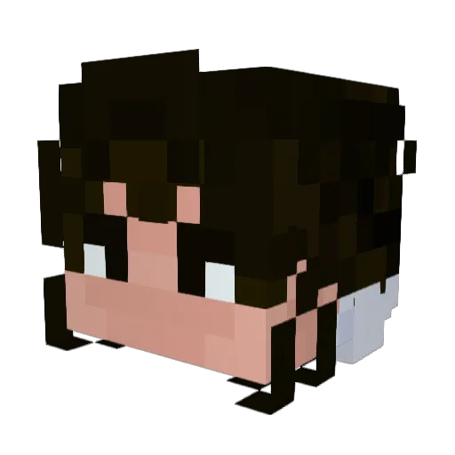 Ajaaxy Minecraft avatar head, 3D render