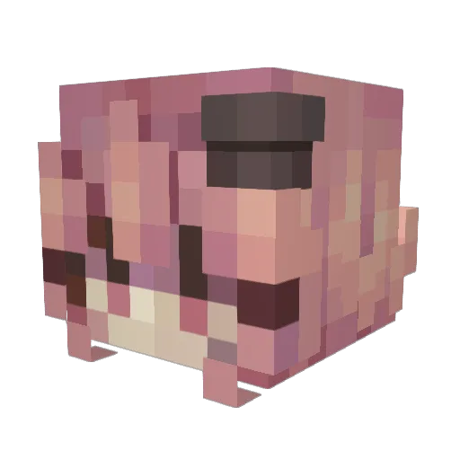 Ajacied Minecraft avatar head, 3D render