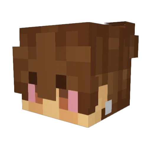 Ajaksik1 Minecraft avatar head, 3D render