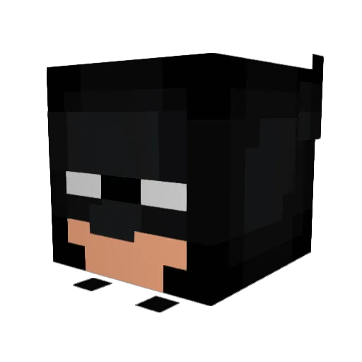 Ajdinnn Minecraft avatar head, 3D render