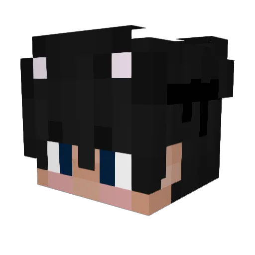Ajhammock_ Minecraft avatar head, 3D render