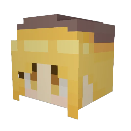 Ajin5711 Minecraft avatar head, 3D render