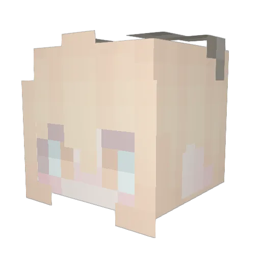 Ajisai_Rain Minecraft avatar head, 3D render