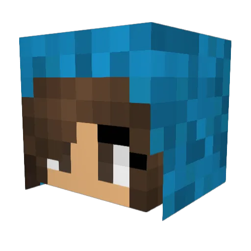 Ajla_Stinker Minecraft avatar head, 3D render
