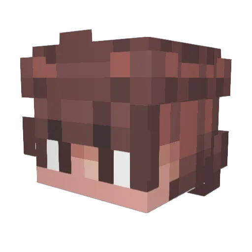 Ajlucky_45 Minecraft avatar head, 3D render