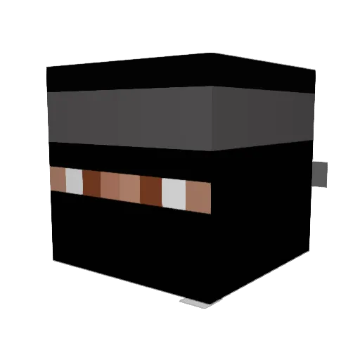 Ajnin_ Minecraft avatar head, 3D render
