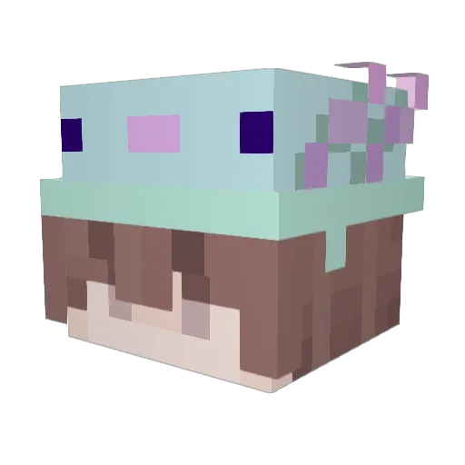 Ajolotly Minecraft avatar head, 3D render