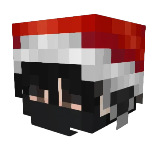 Ajox1 Minecraft avatar head, 3D render
