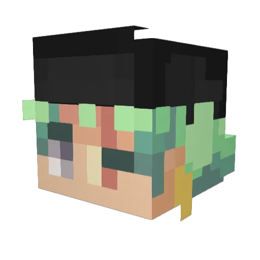 Ajsonic529 Minecraft avatar head, 3D render