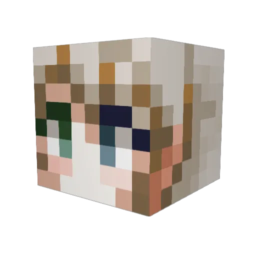 Ak0i Minecraft avatar head, 3D render