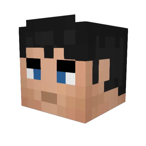 Ak1ra010 Minecraft avatar head, 3D render