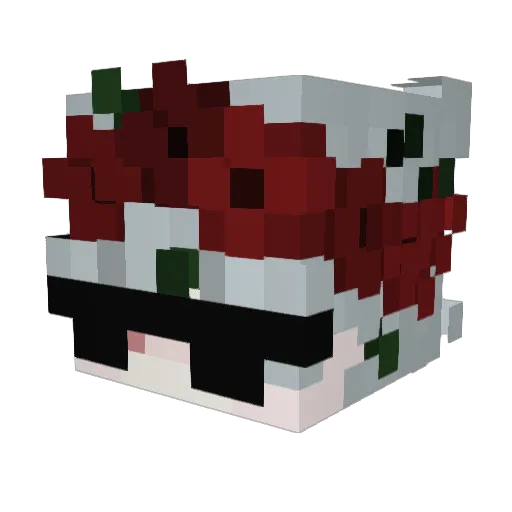 Ak4Me3 Minecraft avatar head, 3D render