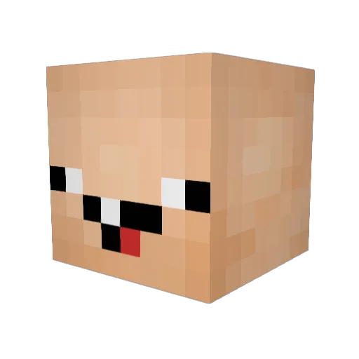 AkT0xico Minecraft avatar head, 3D render