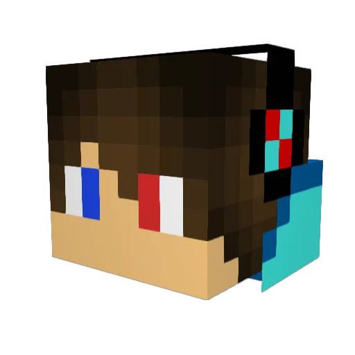 Ak_is_here Minecraft avatar head, 3D render