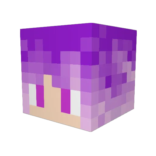 Aka2456 Minecraft avatar head, 3D render